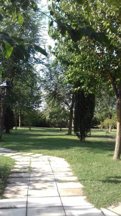 Le Tamerici Pensjonat Principina Terra Zewnętrze zdjęcie